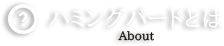ハミングバードとは